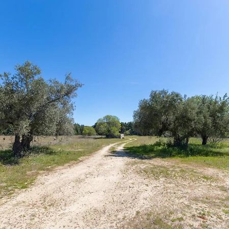 Finca El Palomar De La Vina مدريد المظهر الخارجي الصورة