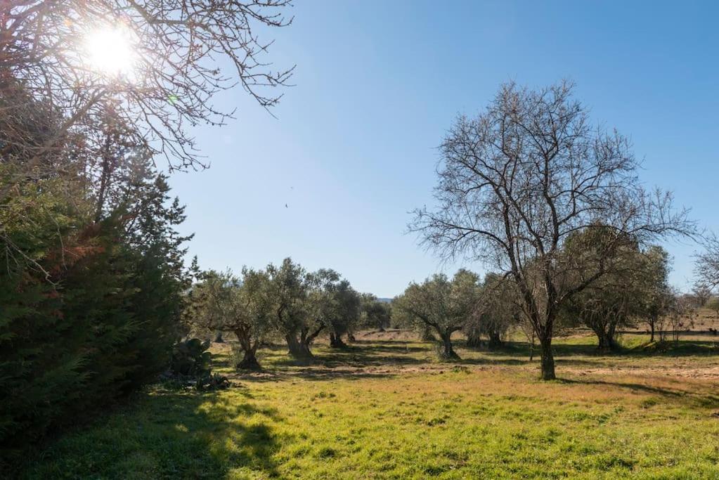Finca El Palomar De La Vina مدريد المظهر الخارجي الصورة