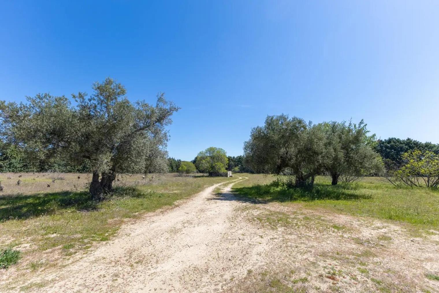 Finca El Palomar De La Vina مدريد المظهر الخارجي الصورة